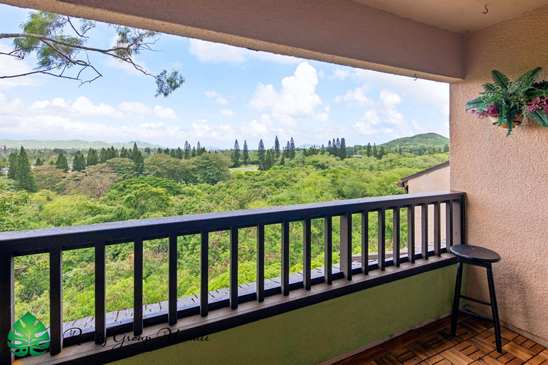Primary lanai WM